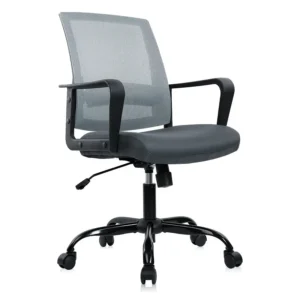 Ergonomic Office Desk Chair Mesh Office Chair with Adjustable Lumbar Support, Rolling Comfortable Computer Task Chairs with Arm