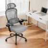JHK Ergonomic Mesh Adjustable Lumbar Support Office Chair 120?Tilt High Back Comfortable Computer Chair with Soft Flip Up Arms